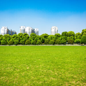 RP-0001 — Residential Property in Balichak